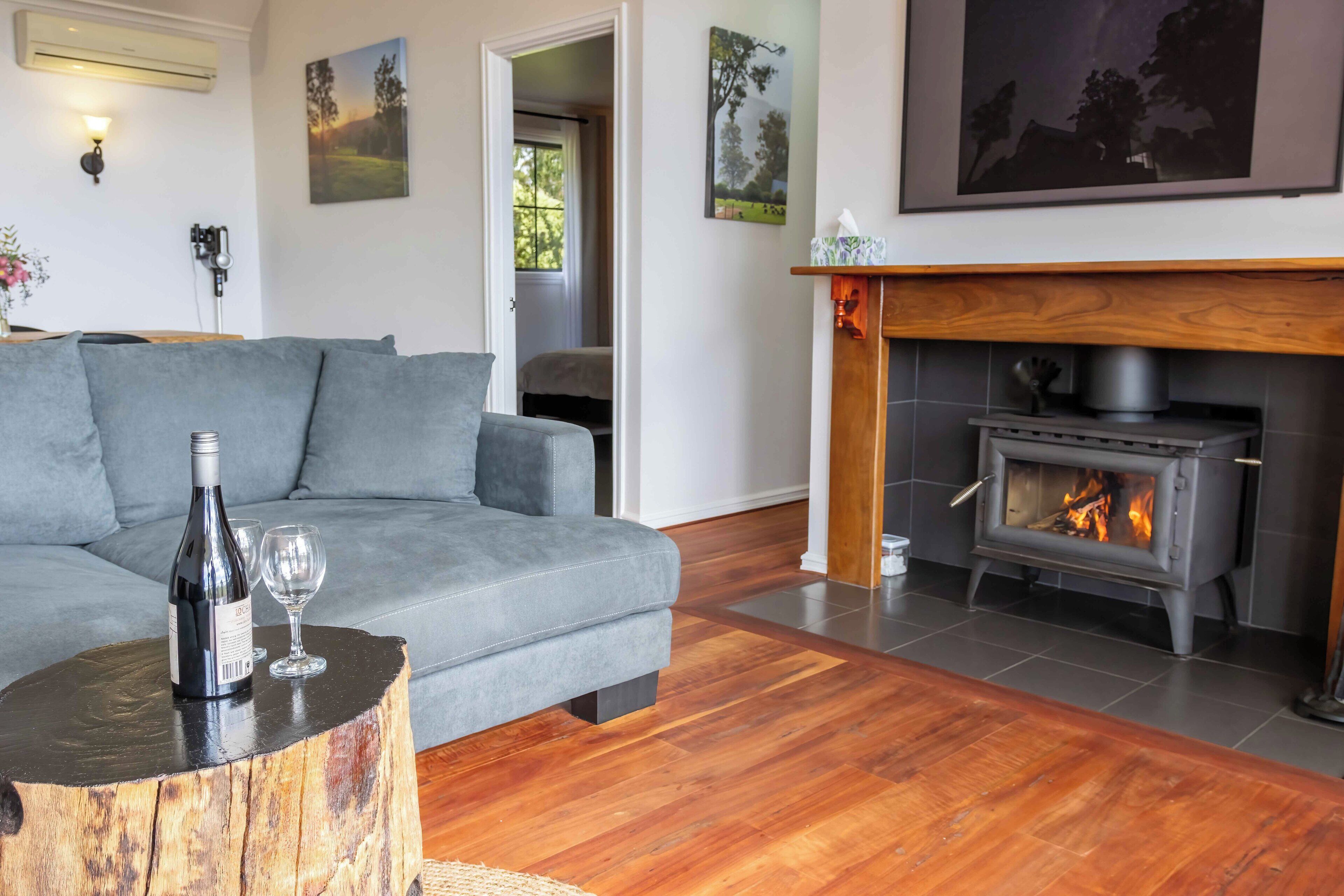 TV, fireplace, DVD player, books