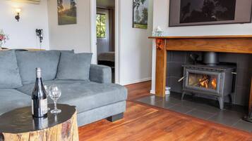 تلفزيون، مدفأة، مشغل دي في دي، كُتُب