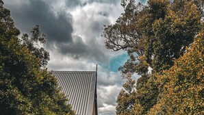 Property grounds - Scarlet Woods Chalets (Quinninup)
