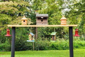 ハウス (3 Bedrooms) | 内装