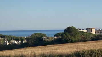 Esterni