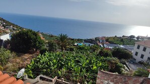 Eine Küstenstadt mit terrassenförmig angelegten Häusern, Blick auf das Meer und üppiger Vegetation.