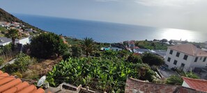 Eine Küstenstadt mit terrassenförmig angelegten Häusern, Blick auf das Meer und üppiger Vegetation.