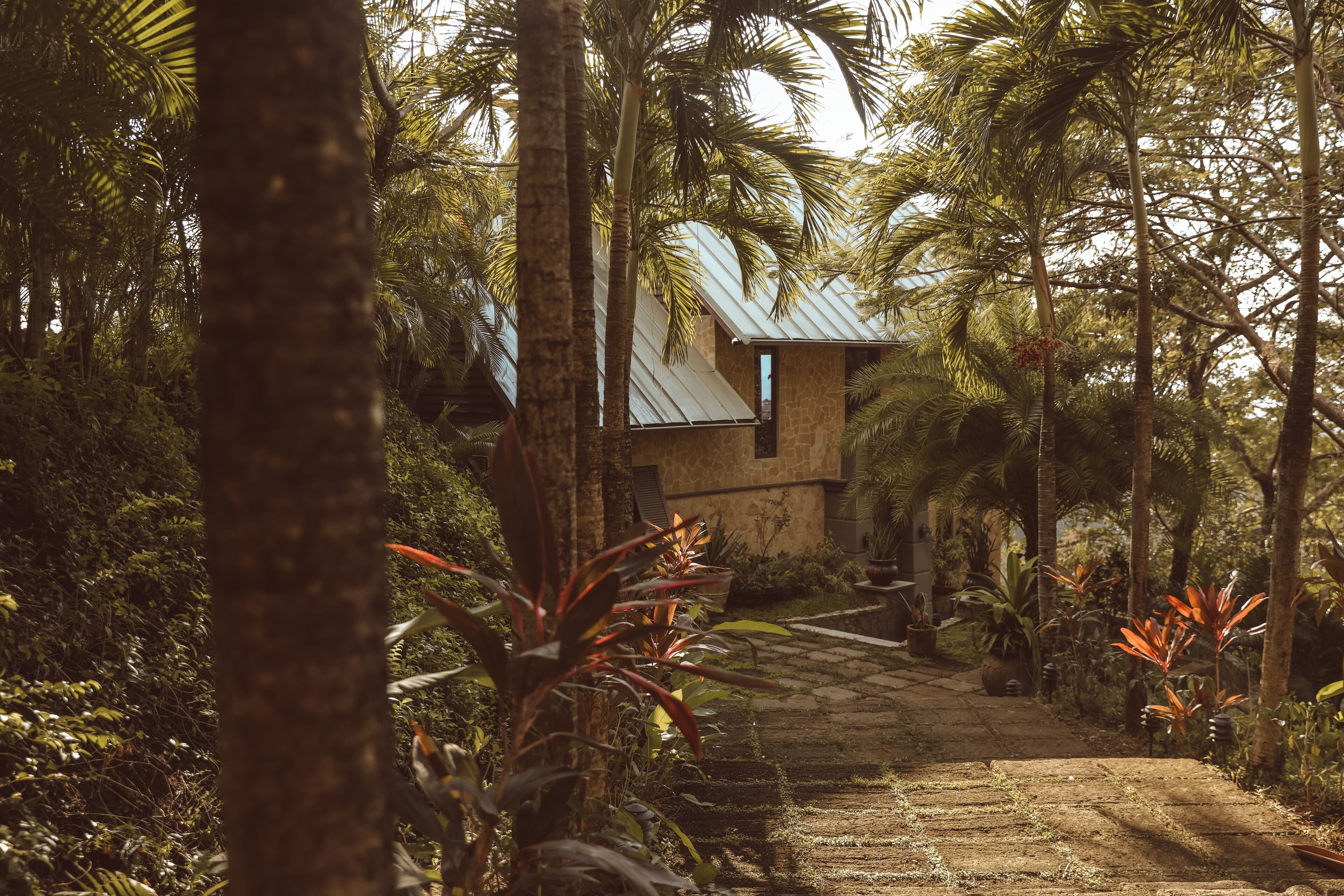 A pathway leading to a building surrounded by lush tropical vegetation.