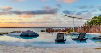 Alterhome Shark Studio