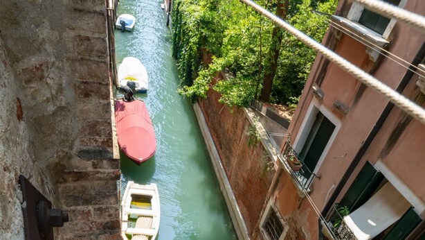 Immagine non classificata, 1 di 16, pulsante