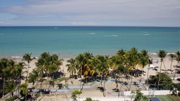 A beach with palm trees and a clear view of the ocean. - Breathtaking Ocean Front View (Carolina)