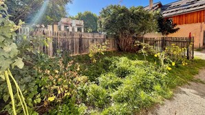 A garden with a wooden fence, various plants, and a building with a sloped roof in the background.