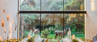 Polylepis Lodge