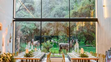 A dining area with a long table set for a meal, large windows offering a view of the outdoors, and a ceiling with hanging plants.