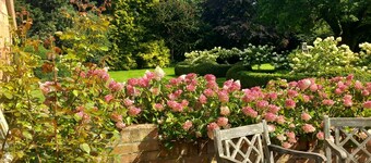 Cotswolds heaven,  feed the alpacas and relax in luxury cottage with hot tub