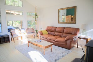 TV connectée, cheminée, livres