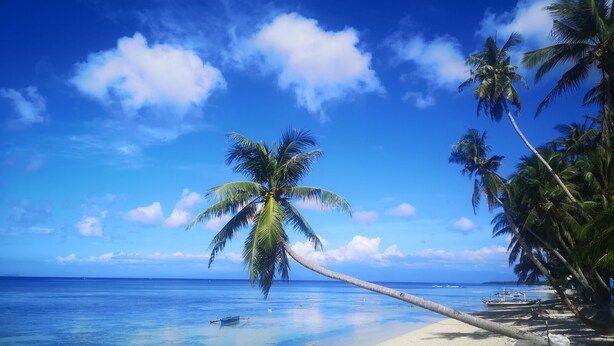 A beach with clear blue water, palm trees, and a boat. - Room-Cola Inn (San Juan)