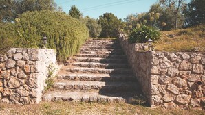 A stone staircase leading up a hill, flanked by stone walls and surrounded by greenery.