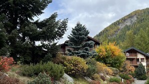 Un chalet de montagne avec un sentier en pierre menant à l’entrée, entouré d’une végétation luxuriante et adossé à une montagne boisée.