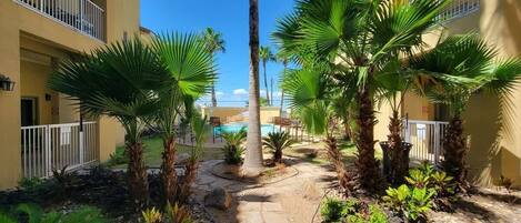 テラス / パティオ