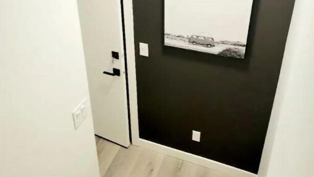 A hallway with a dark wall, a white door, and a framed picture on the wall. - Brand New Stylish Suite with separate entrance (Calgary)