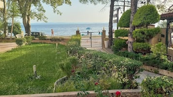 House | Property grounds