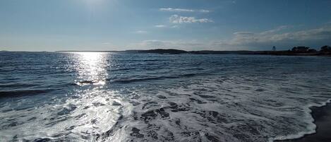 Camastros y toallas de playa