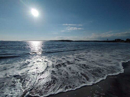 Peace in Pemaquid - Ocean Sunsets & Stargazing 