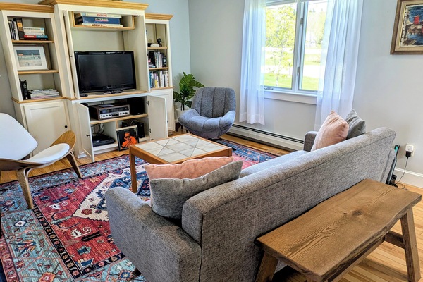 Smart TV, table tennis, books, music library