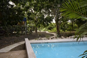 Pool - Villa Mellow - Moderne Design Villa (Sint Michiel)