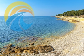 شاطئ