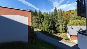A residential area with a house, a paved driveway, and a forested hillside. - Apt 4 ppl near the ski runs, terrace (Morillon)