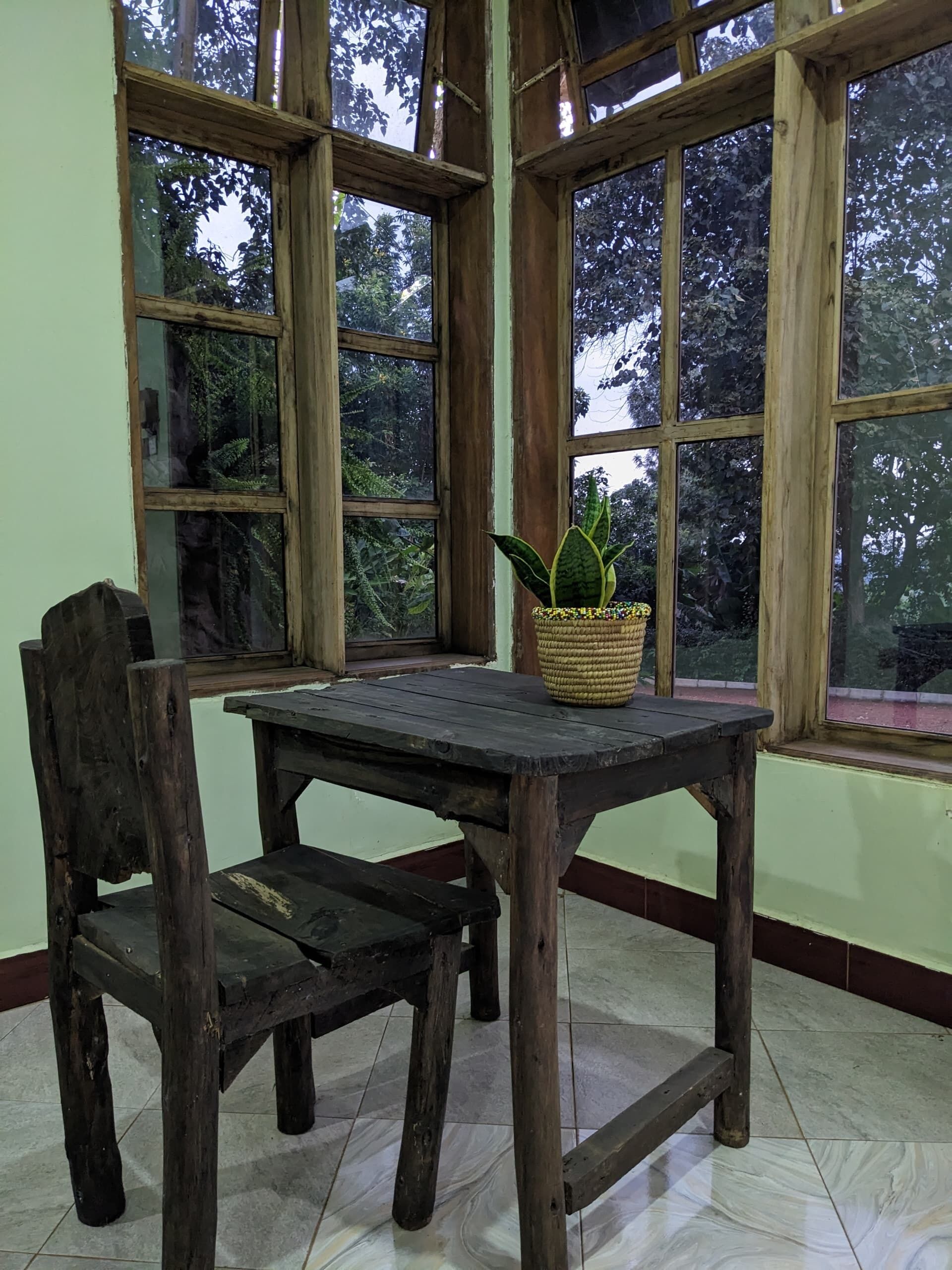 A rustic wooden table with a woven basket containing a plant, positioned in front of large windows with a view of trees.