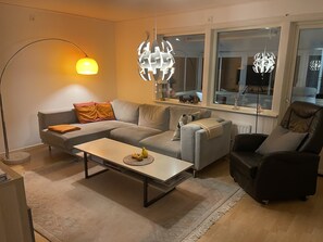 Smart TV, fireplace, books