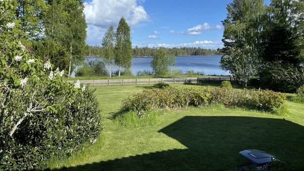 A grassy area with a wooden fence, trees, and a lake. - Haus am See (Älmeboda)