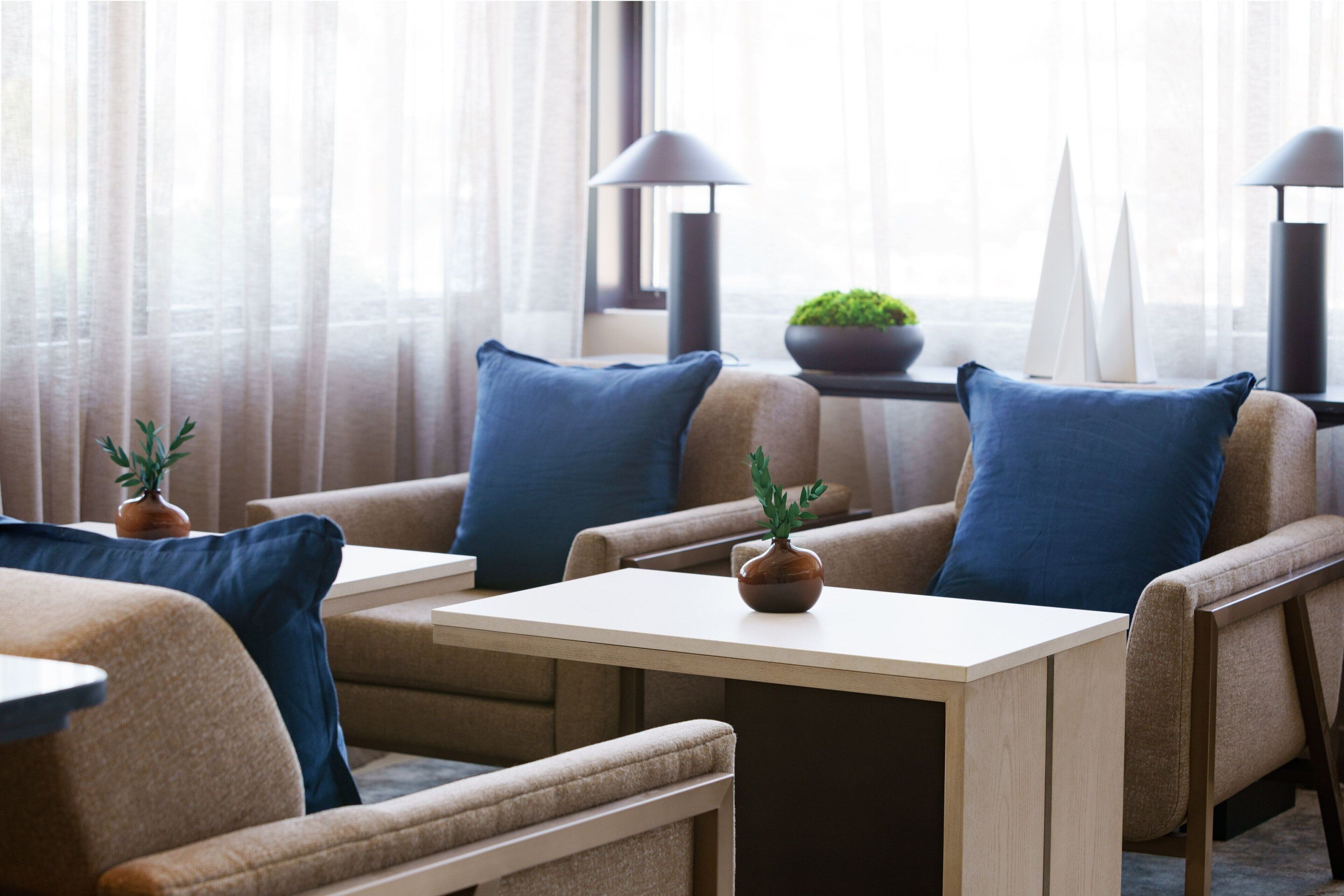 A modern hotel room with a sofa set, a small table, and a potted plant.