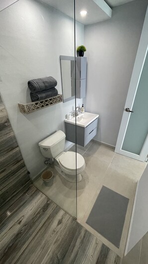 Bathroom features a toilet, sink, and shower area with a glass partition.