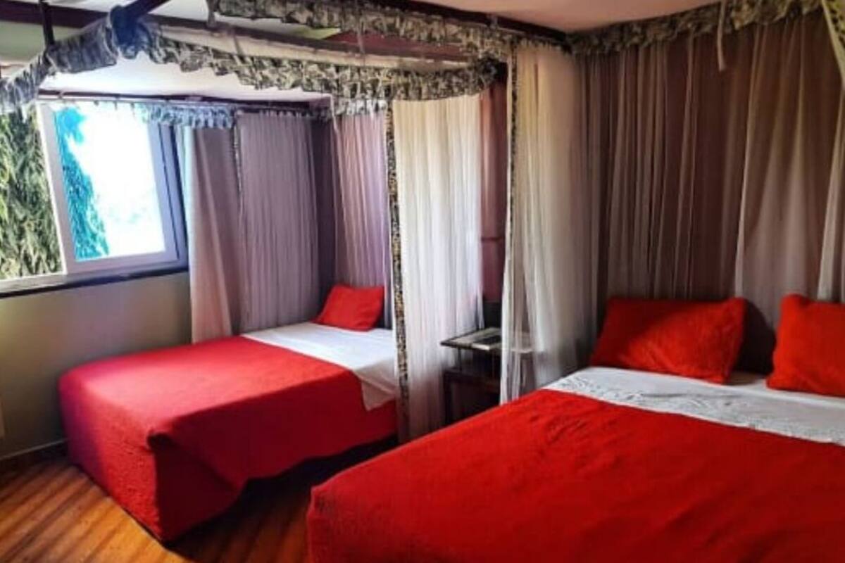 A room with two beds, each with red bedding and white pillows. There is a window with curtains, and the room has wooden flooring.