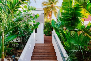 Property grounds - The Pink Palm Hotel  - King Room (Charlotte Amalie East)