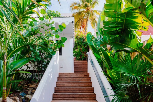 Un escalier entouré d’une végétation tropicale luxuriante, menant à un bâtiment blanc.