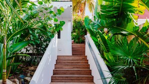 A staircase surrounded by lush tropical plants leading to a white building.