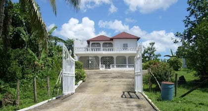 5 minutes to Appleton Estate & 20 minutes to Maroon town. Griffiths Guest House.