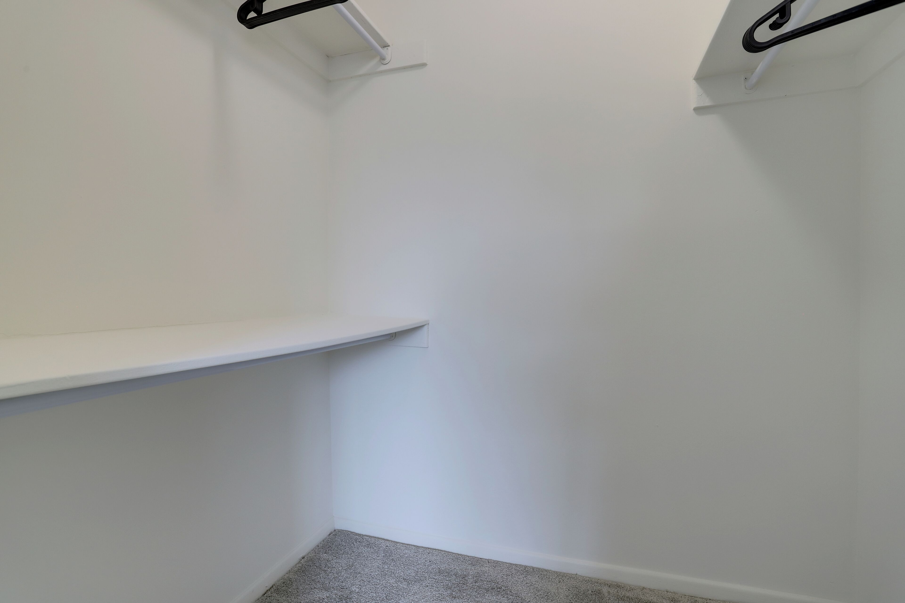 A corner of a room with a white wall, a grey carpet, and a white shelf unit with black brackets.