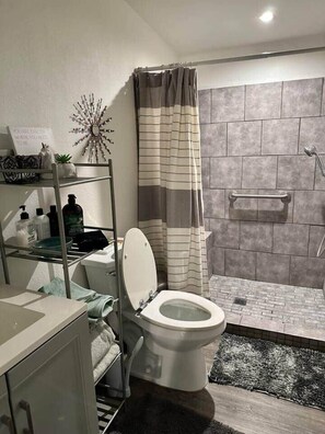 Regadera, secadora de cabello, jabón, shampoo 