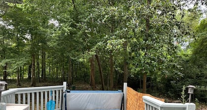 Peaceful cabin with fireplace, 5 minutes from the springs!