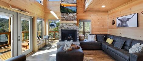 Télévision, cheminée, jeux vidéo, chaîne hi-fi