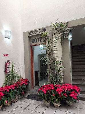 Reception - Hotel Casa Morena (San Miguel de Allende)