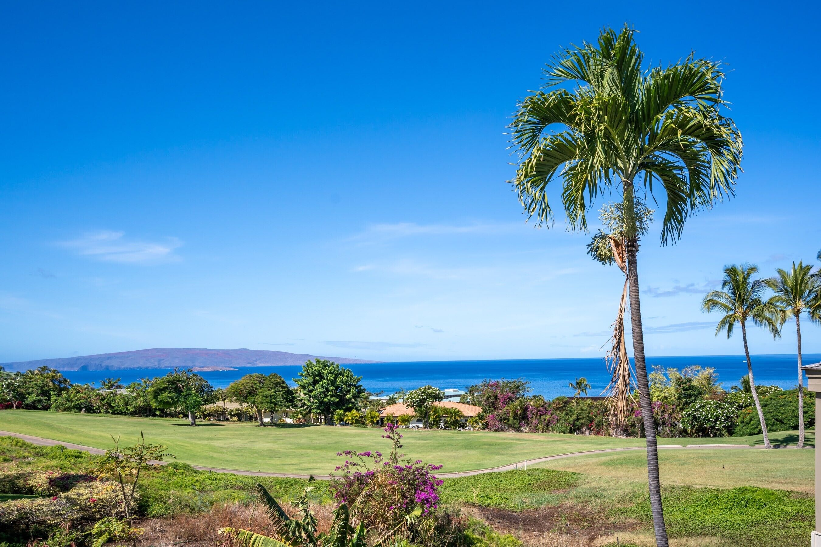 Un campo de golf con una palmera y vista al océano.