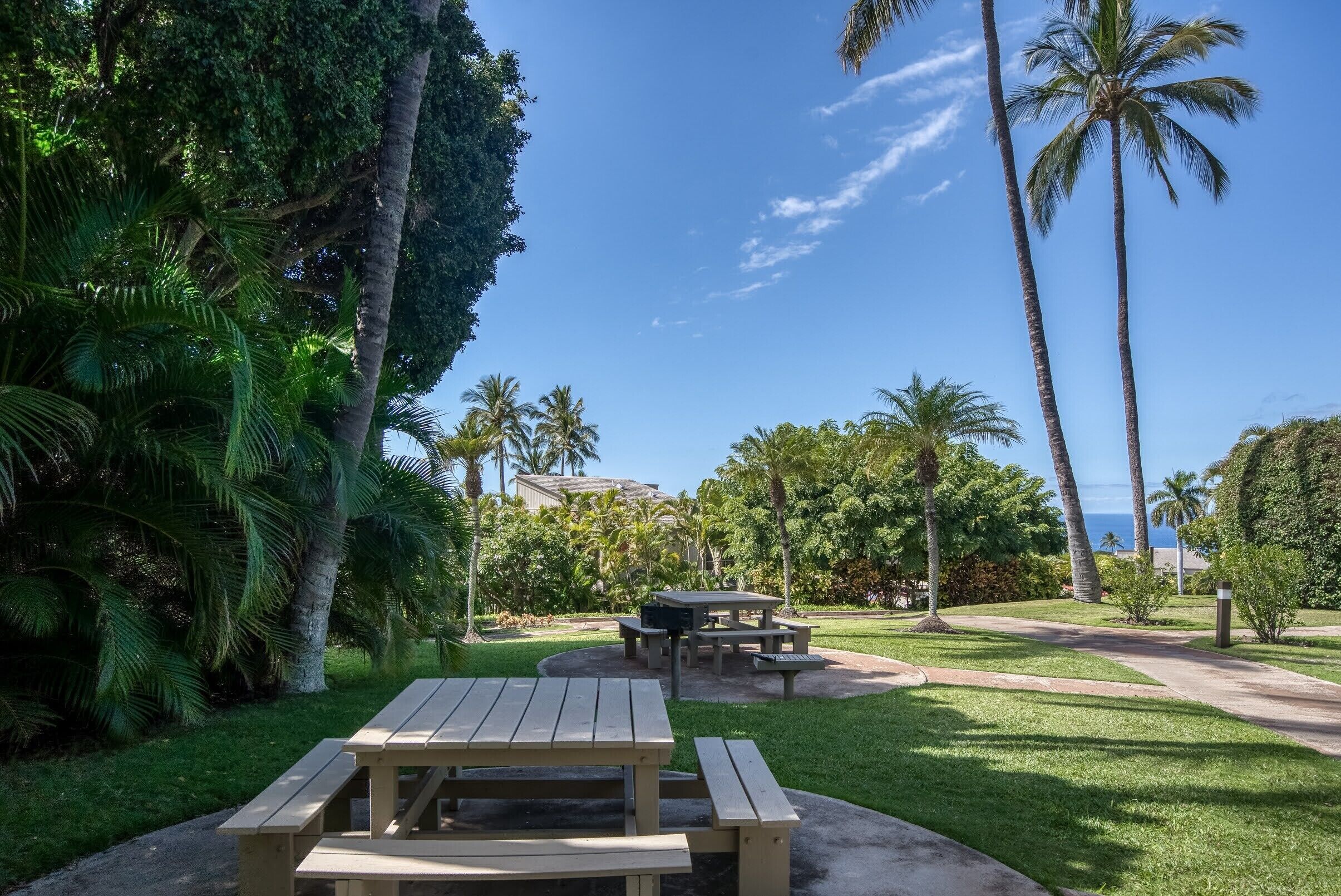 A picnic area with a table and benches, surrounded by palm trees and a clear sky.