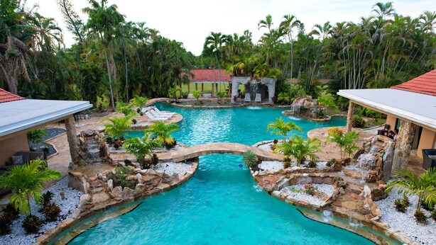 A pool with a waterfall, surrounded by palm trees and a stone bridge.