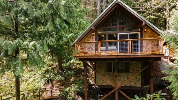 Eine Holzhütte mit Balkon, umgeben von dichtem Wald.