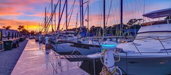 Dolphins Vacation Rental 