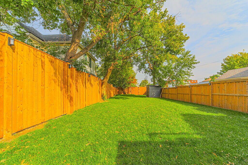 A backyard with a wooden fence, a tree, and a well-maintained lawn.