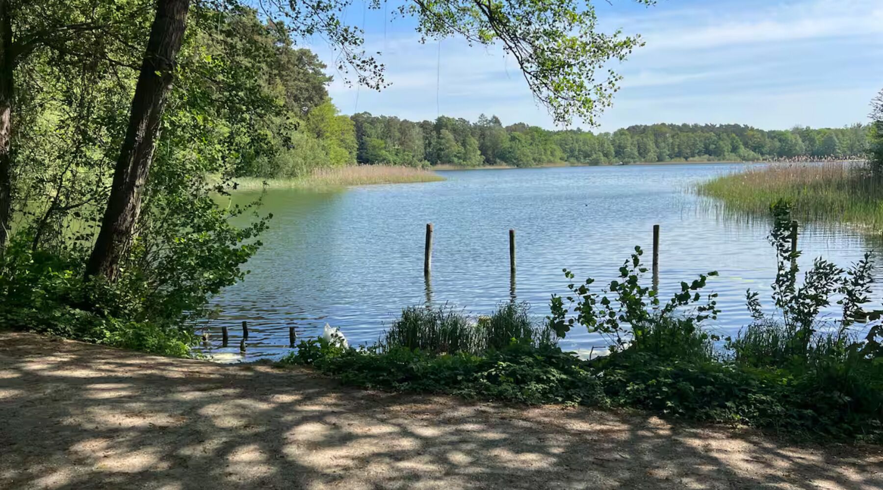 A serene lake with a dirt path leading to a wooden dock.